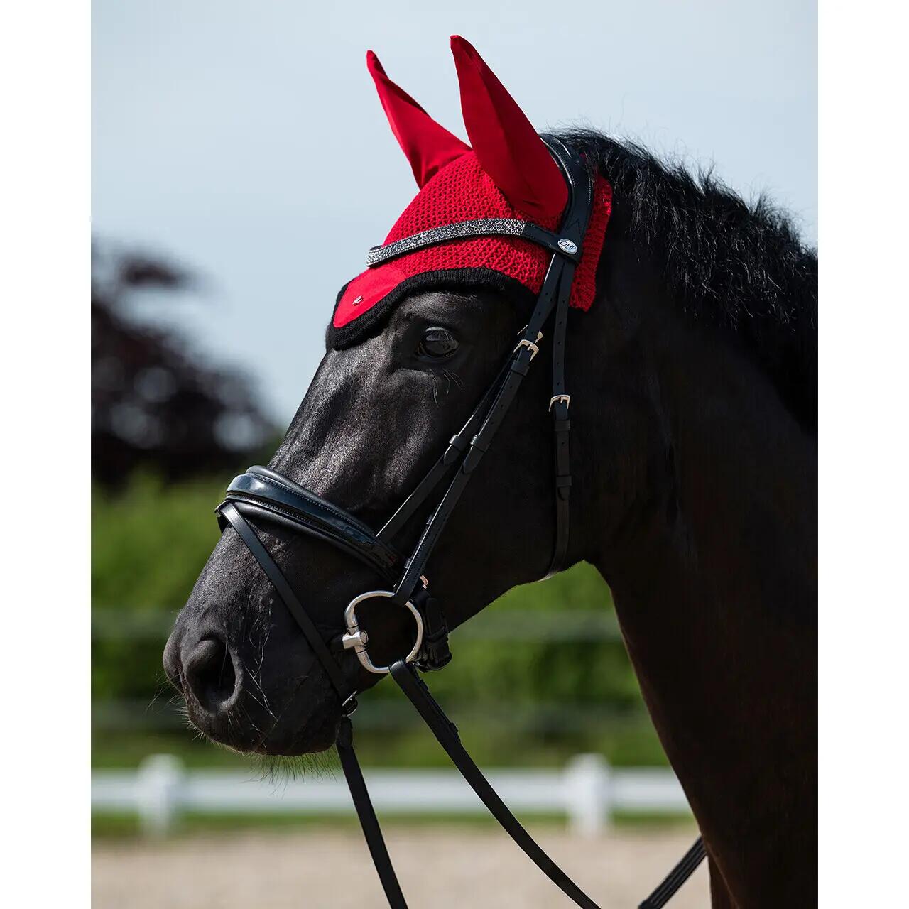Paardenmuts QHP Oakleigh 2/3