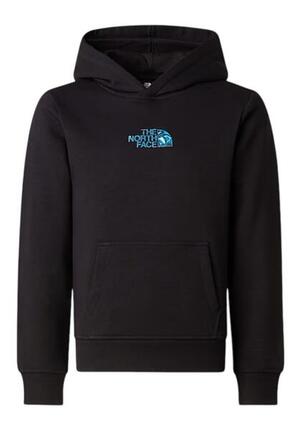 Pull The North Face Liquid Logo garçons 164