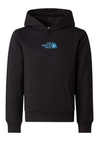 Pull The North Face Liquid Logo garçons 164