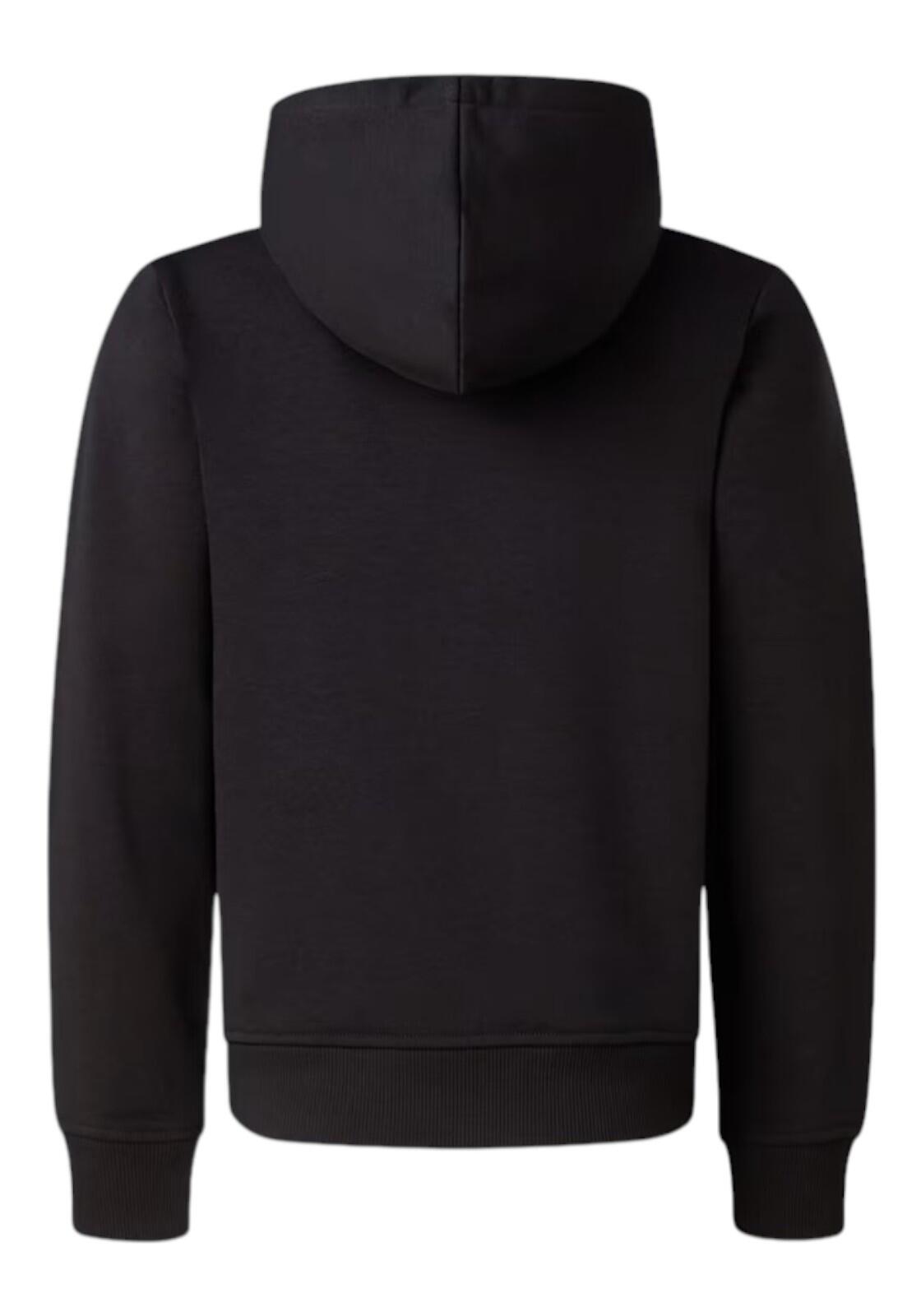 Pull The North Face Liquid Logo garçon 176 3/4
