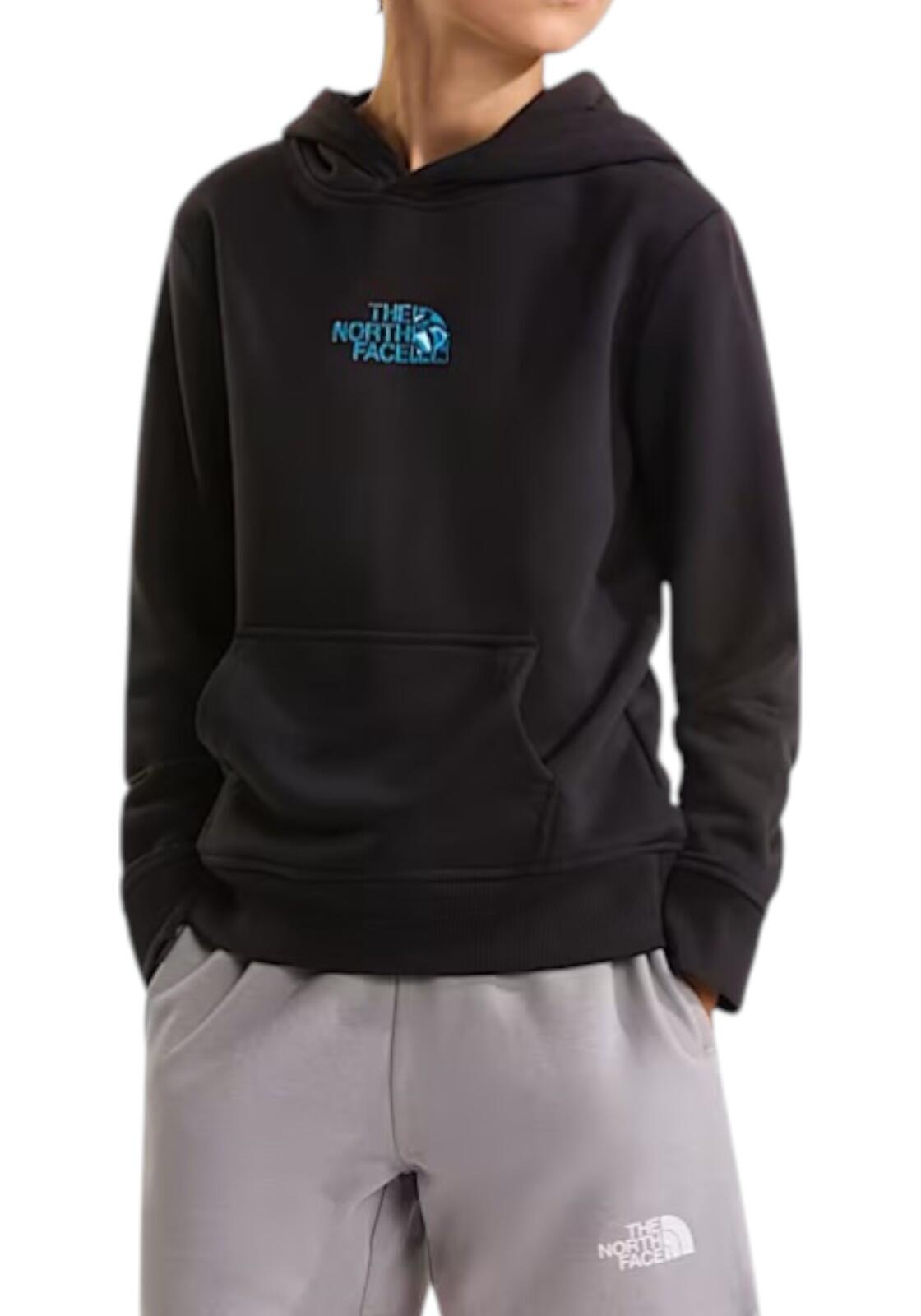 Pull The North Face Liquid Logo garçon 176 2/4