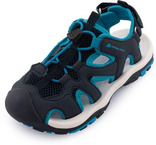 ALPINE PRO picture