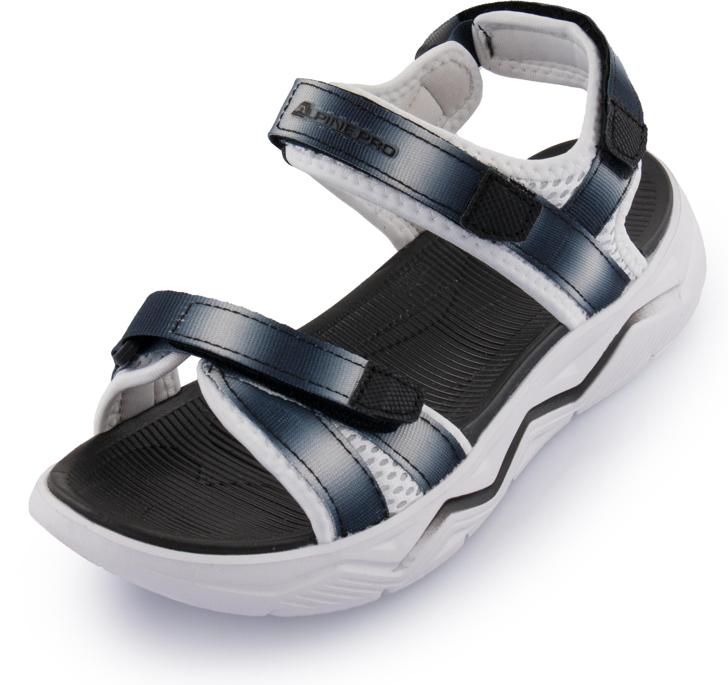 ALPINE PRO picture