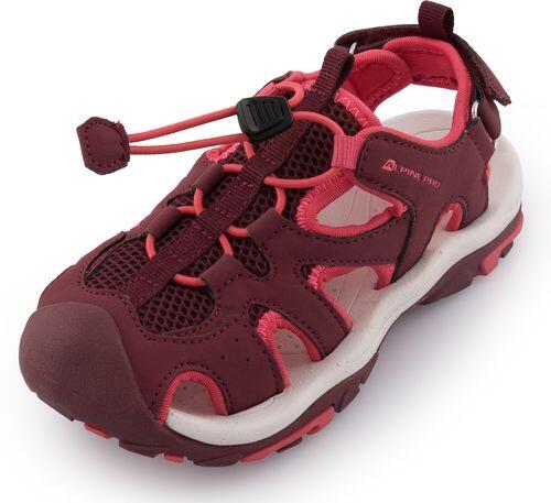 ALPINE PRO picture