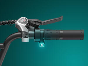 Bicicleta Eléctrica ENGWE L20 Boost de 250 W | Urbana y Trail 4/7