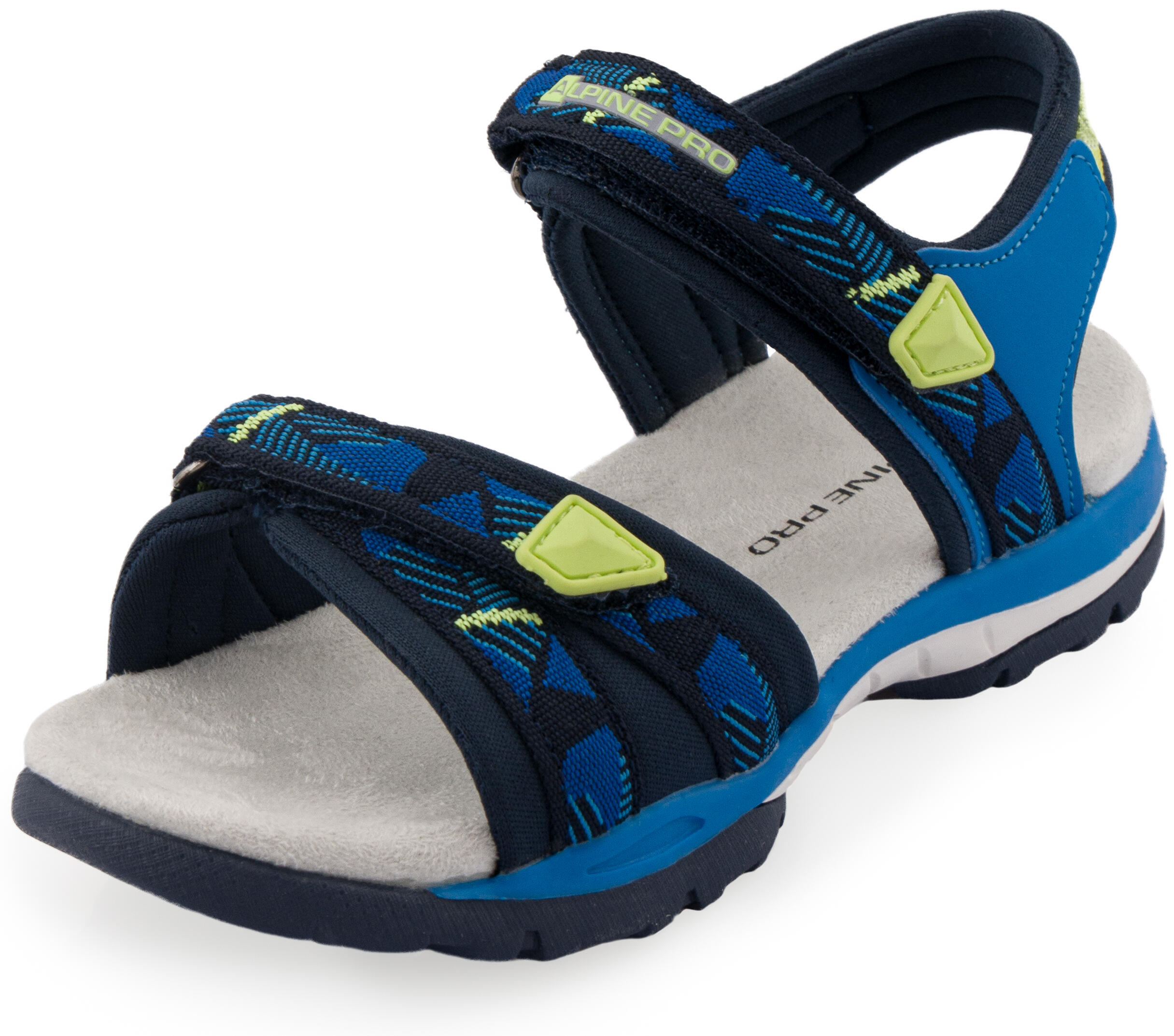 ALPINE PRO picture