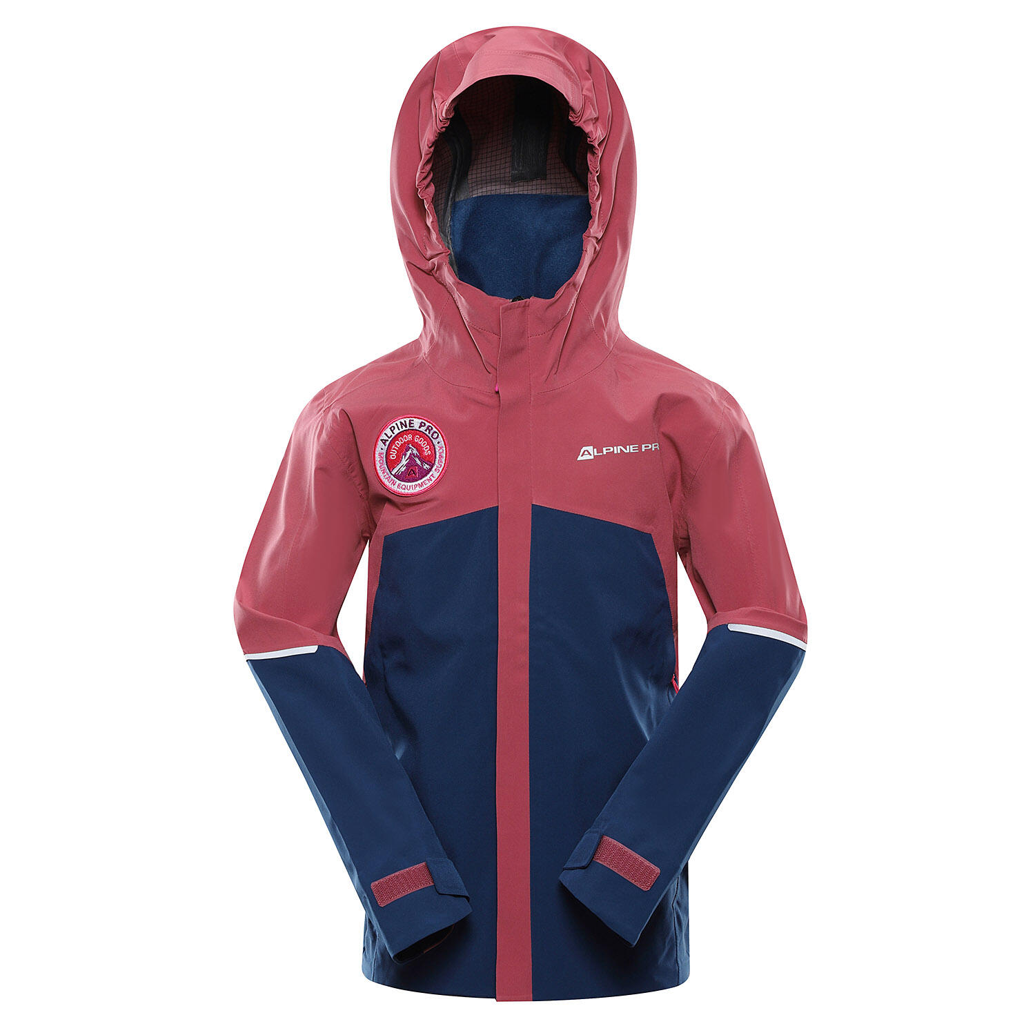 ALPINE PRO picture