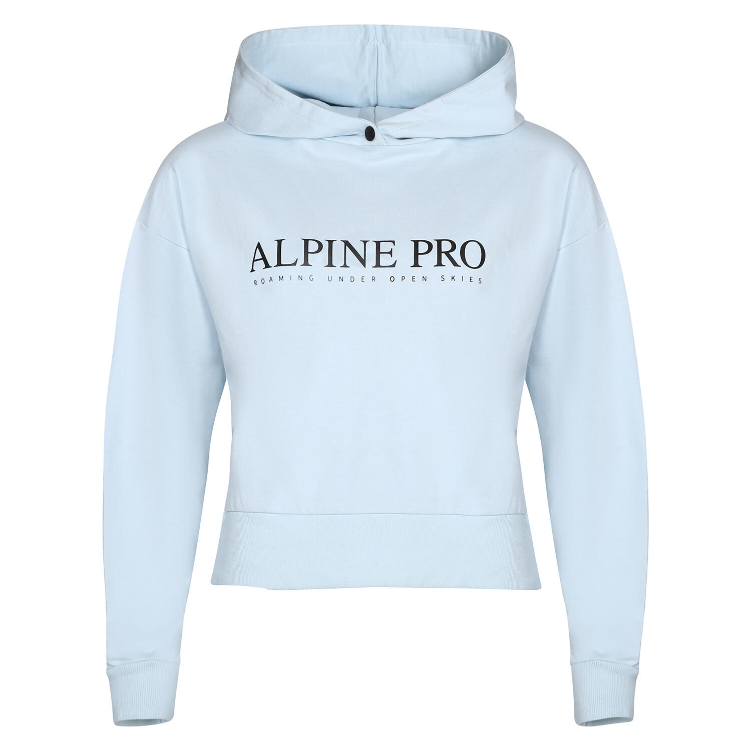 ALPINE PRO picture