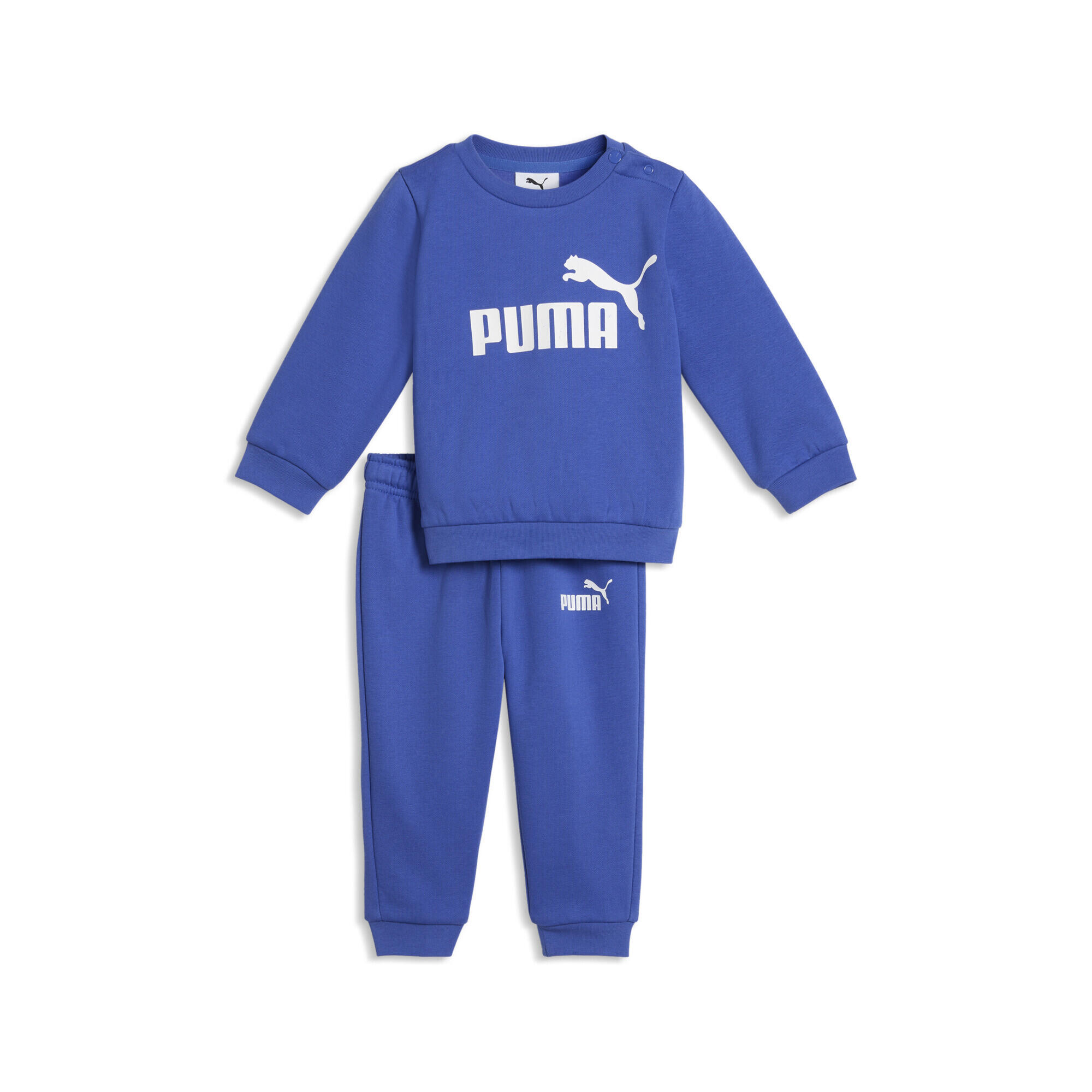 PUMA picture