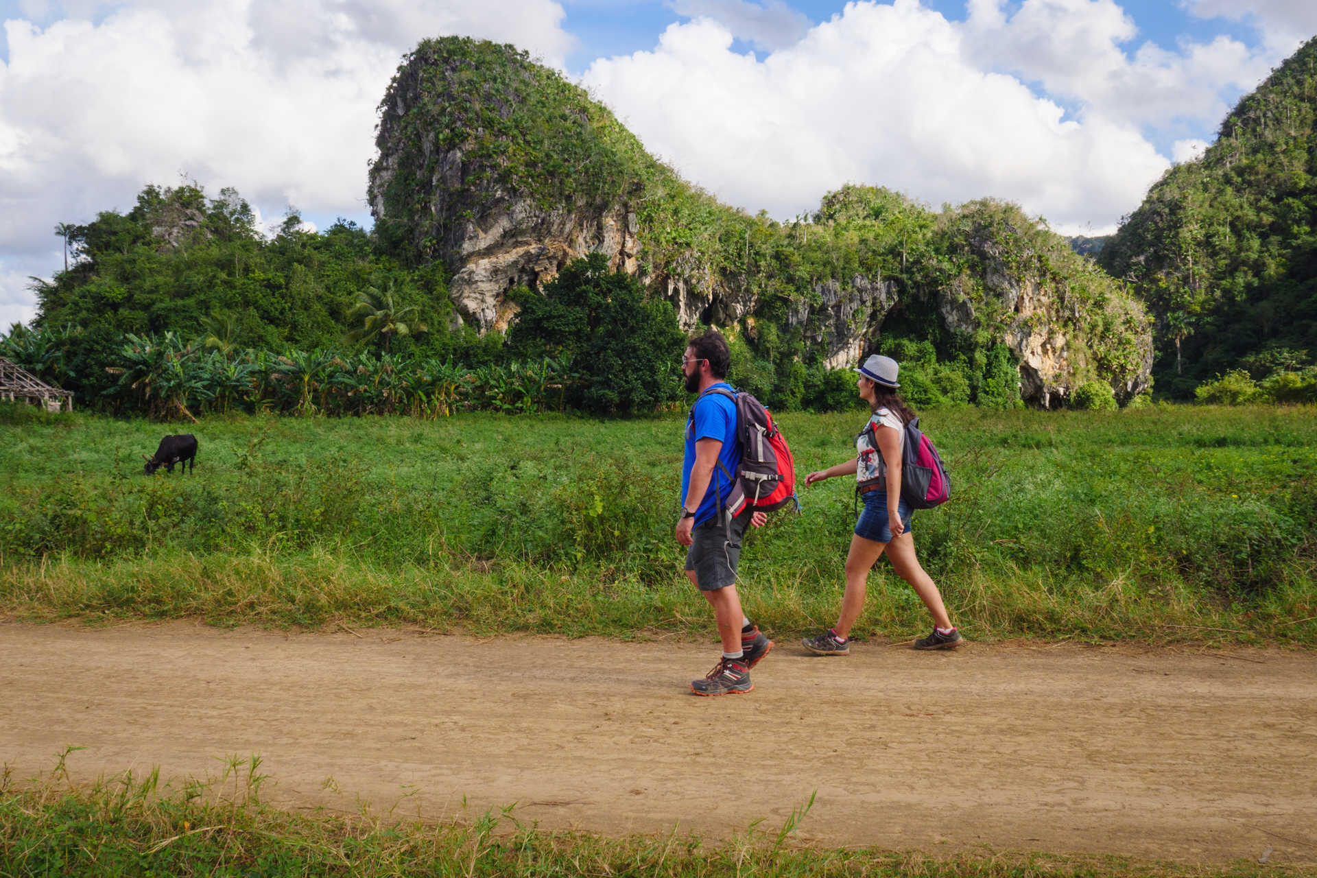 DECATHLON TRAVEL picture