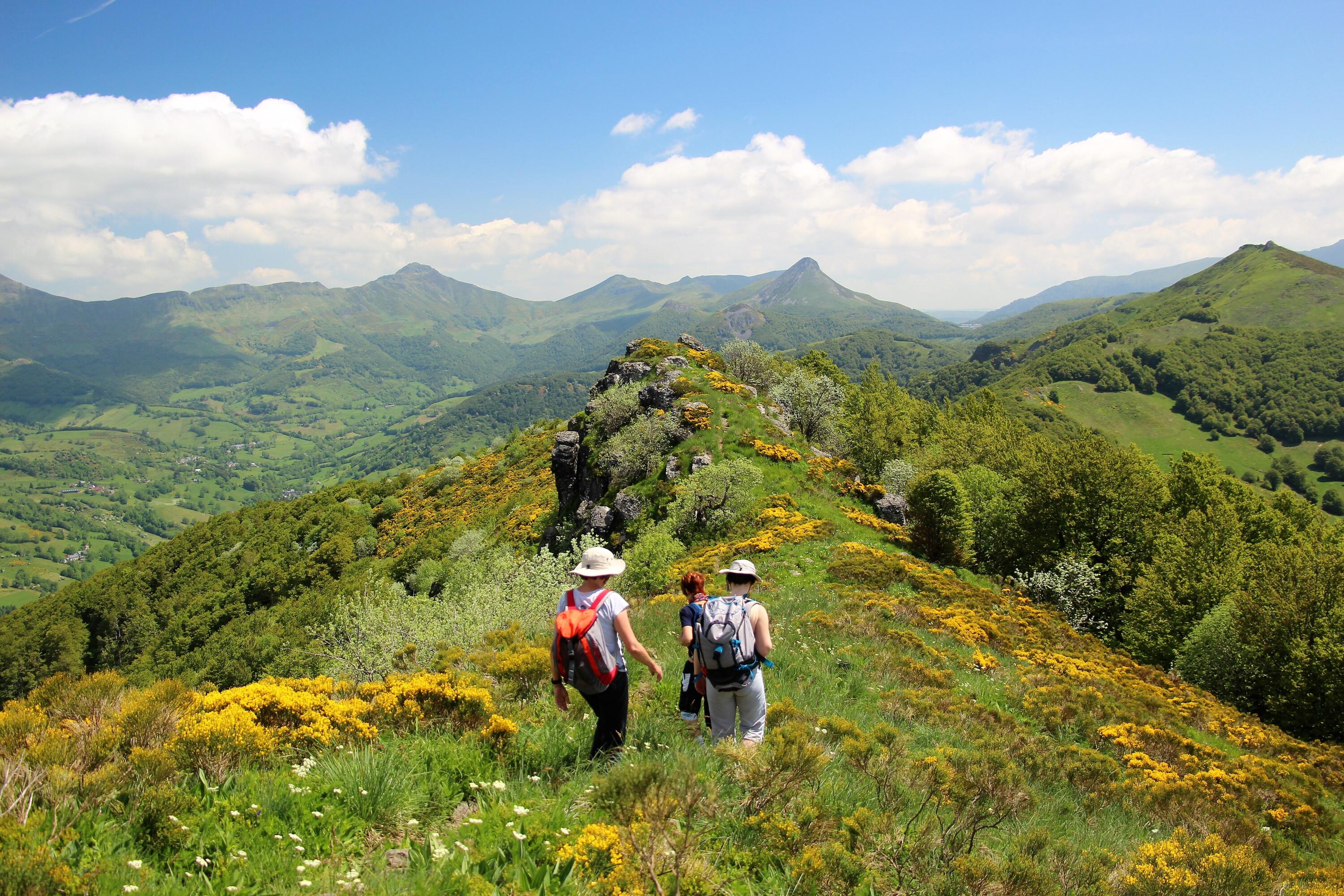 DECATHLON TRAVEL picture