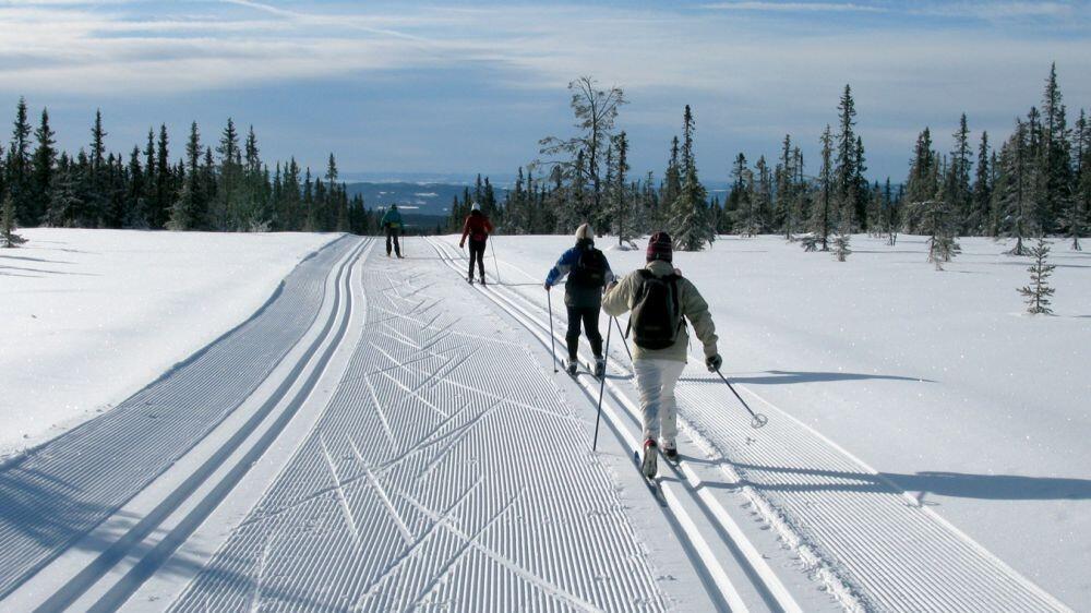 DECATHLON TRAVEL picture