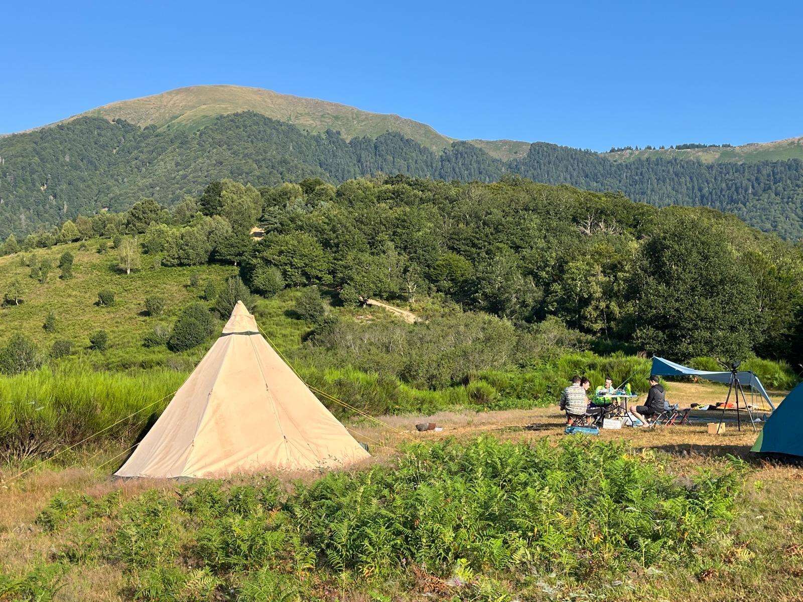 DECATHLON TRAVEL picture