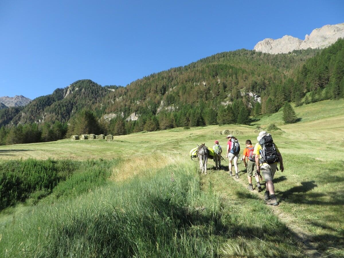 DECATHLON TRAVEL picture