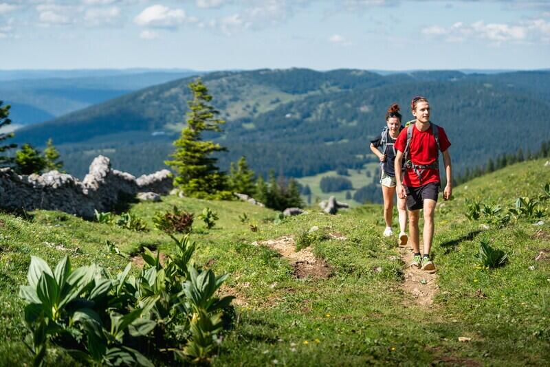 DECATHLON TRAVEL picture