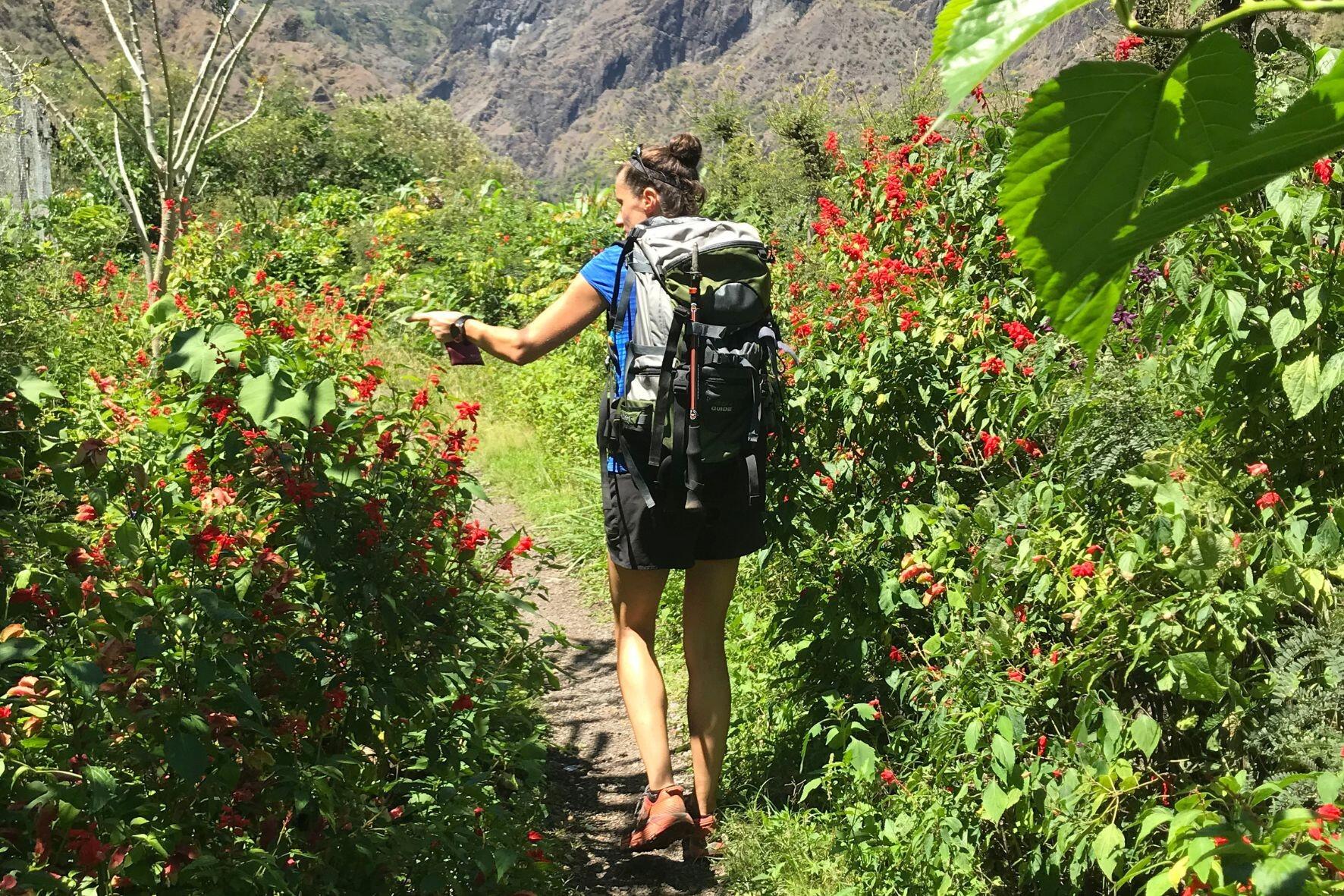 DECATHLON TRAVEL picture