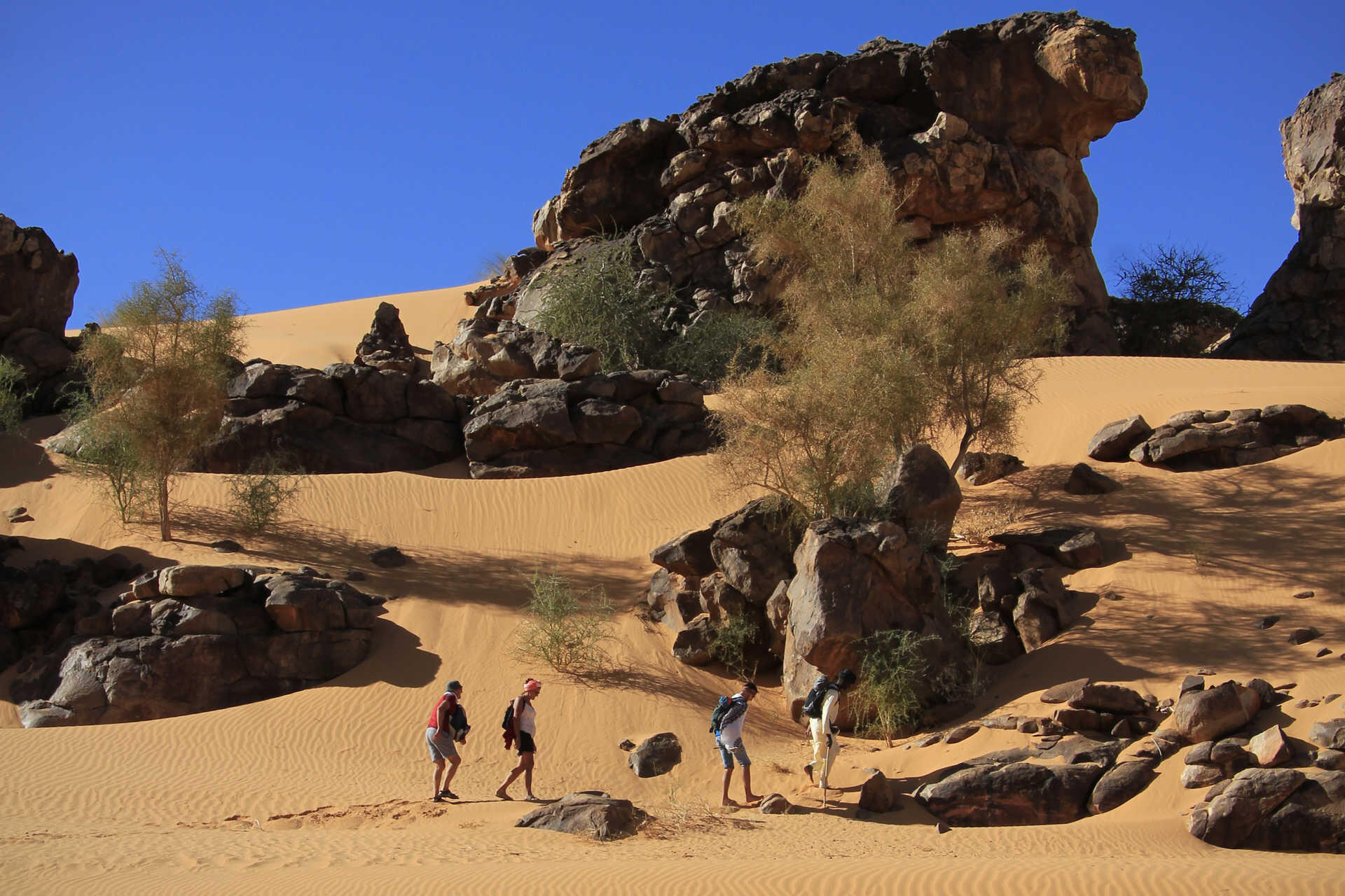DECATHLON TRAVEL picture