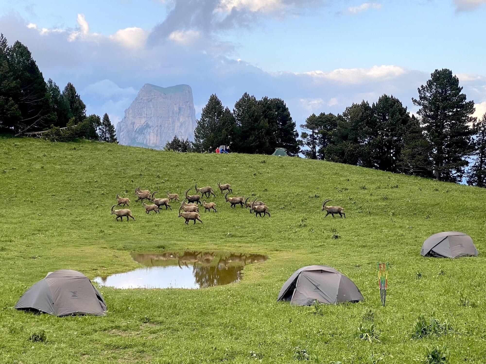 DECATHLON TRAVEL picture