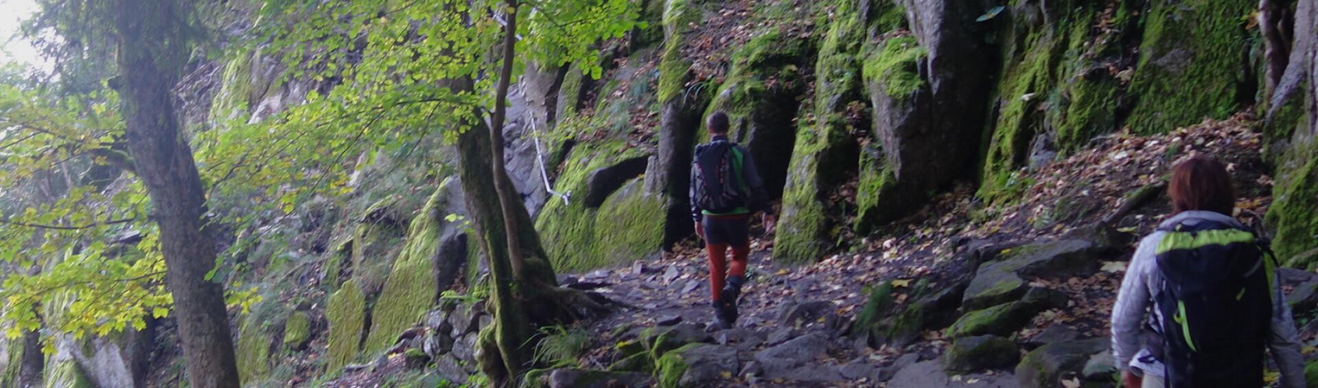 Randonnée sur la crête des Vosges en autonomie 1/1