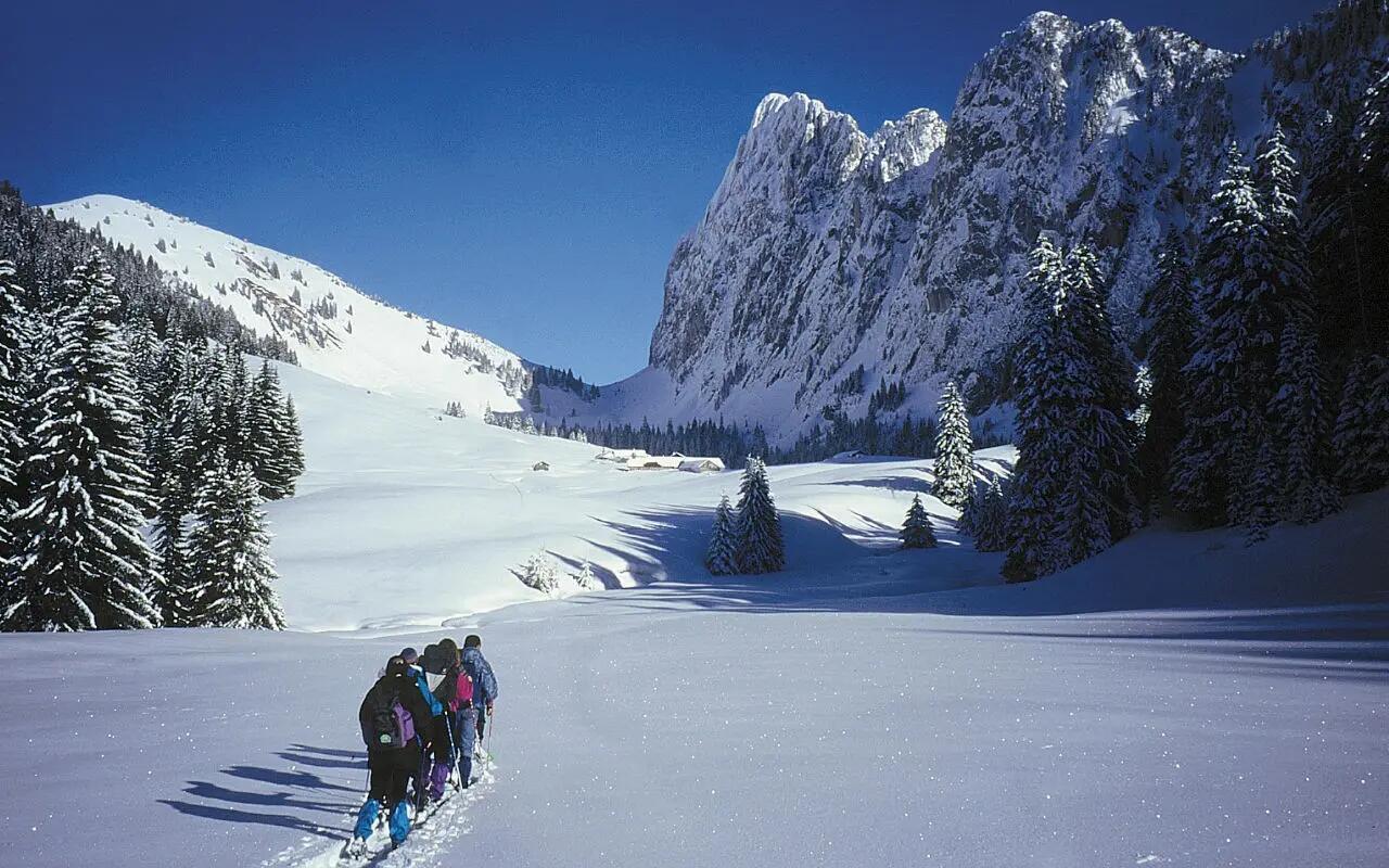 DECATHLON TRAVEL picture