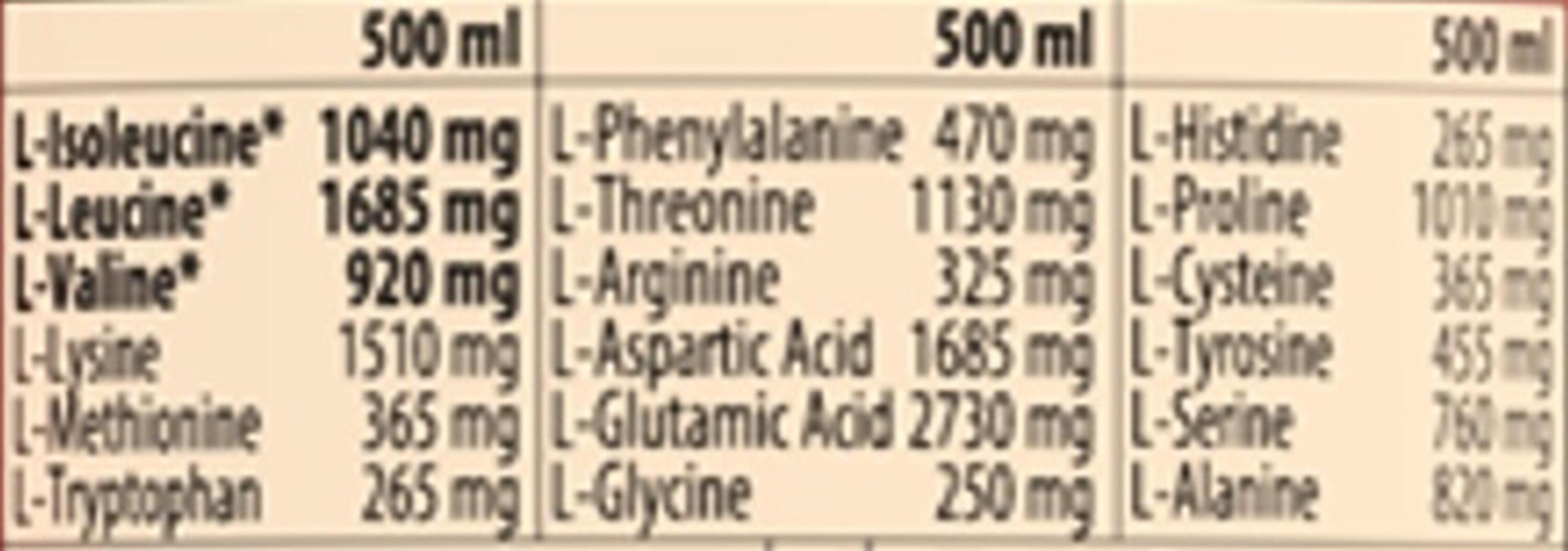 AMINO LOAD - Punch - 500 ml 3/5