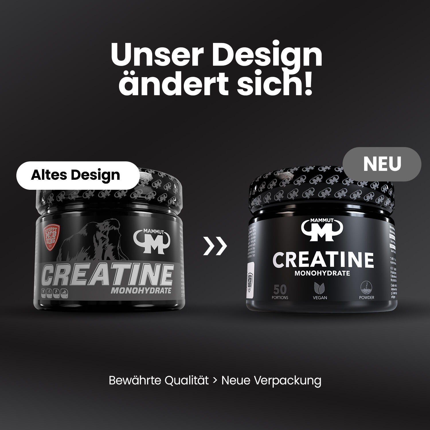Creatine Monohydrate - 300 g Dose 2/4