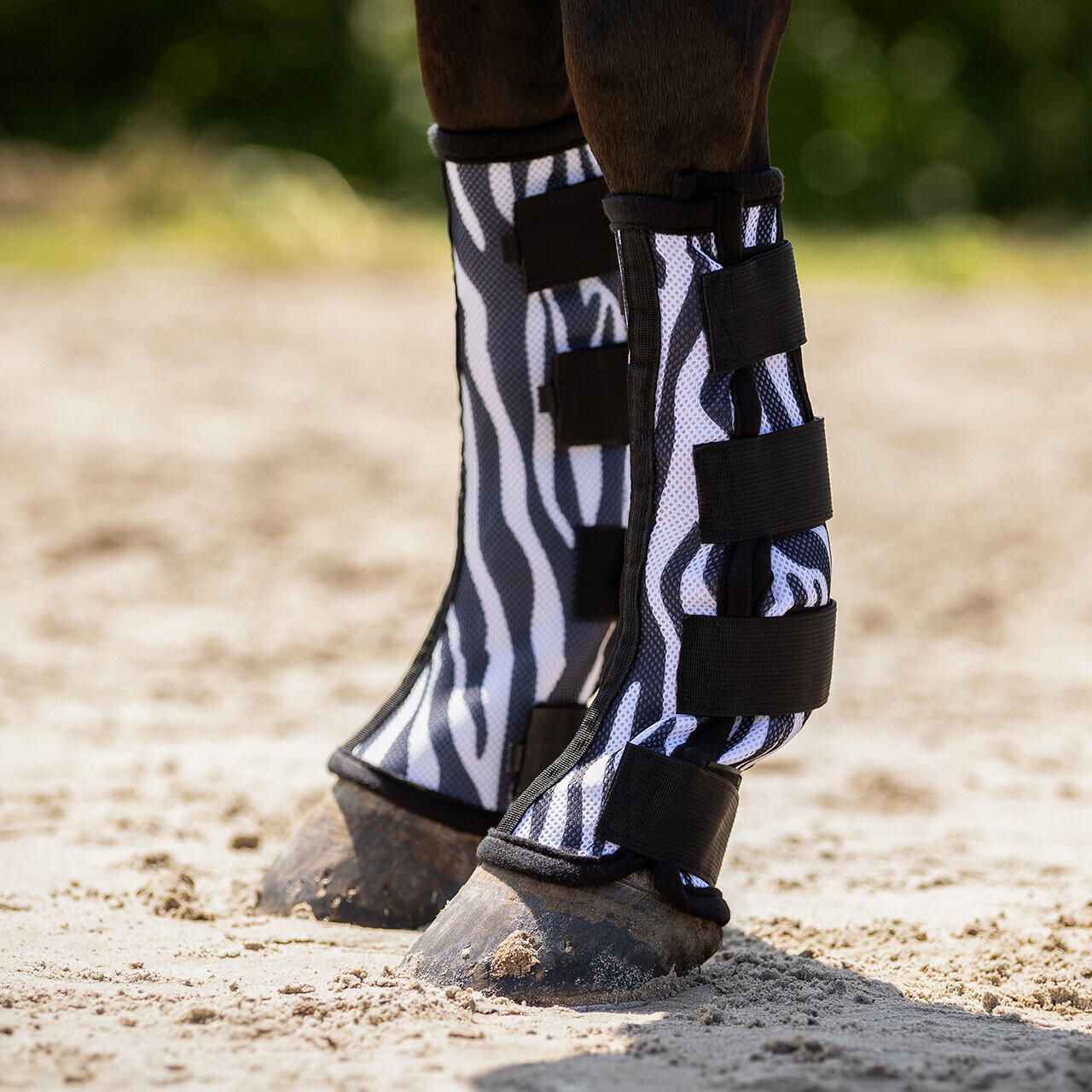QHP Beenbeschermers Anti-Vlieg - Zebra (Cob) 2/3