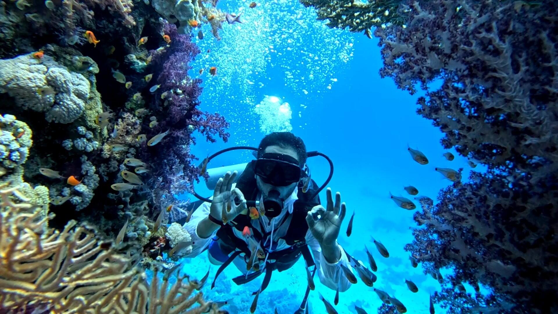 Passez votre PADI dans le parc naturel de Ras Mohammed 1/1