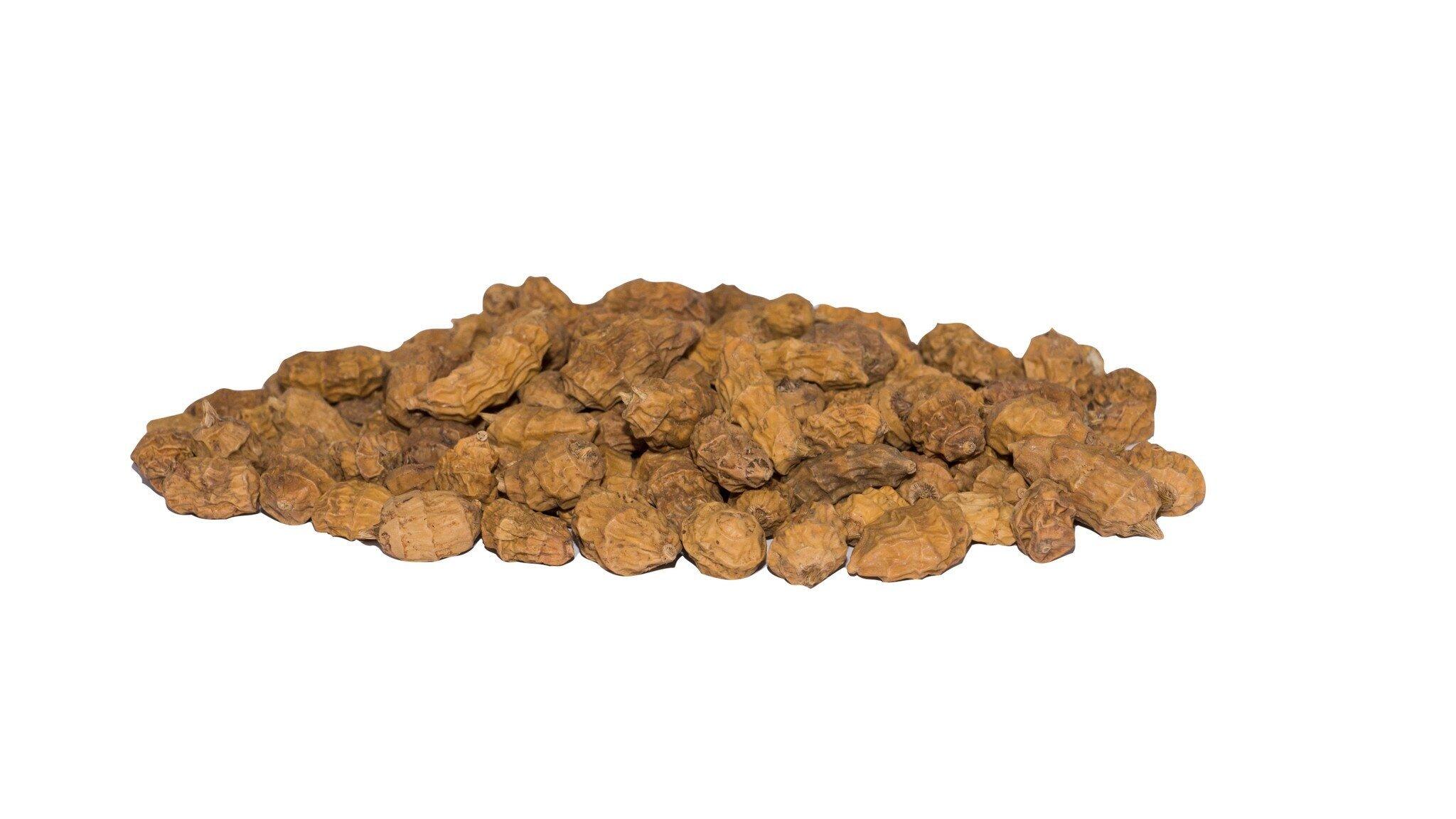 Baitworldd XXL Tiger Nuts 15-35mm Trockenköder 1/3