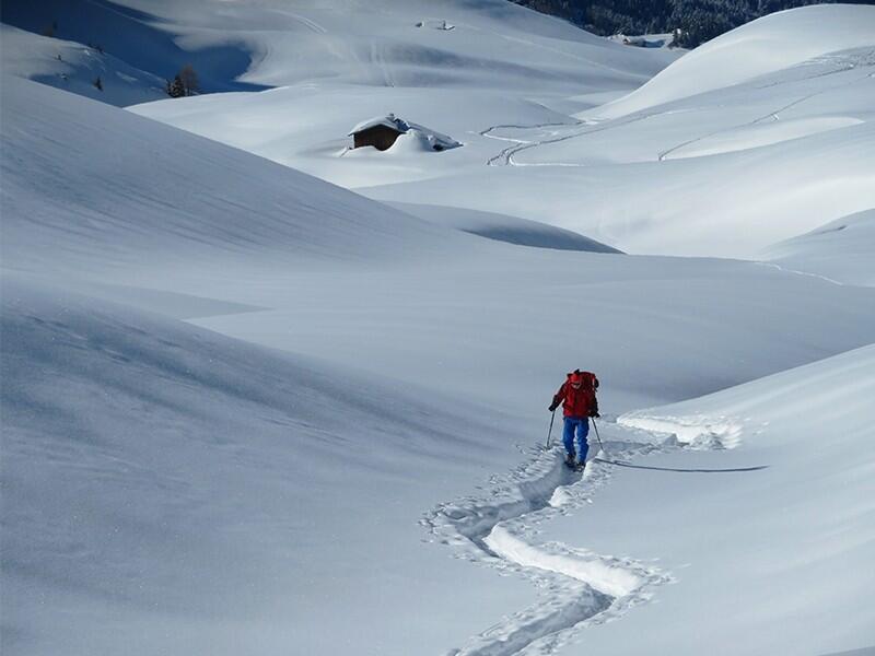 DECATHLON TRAVEL picture