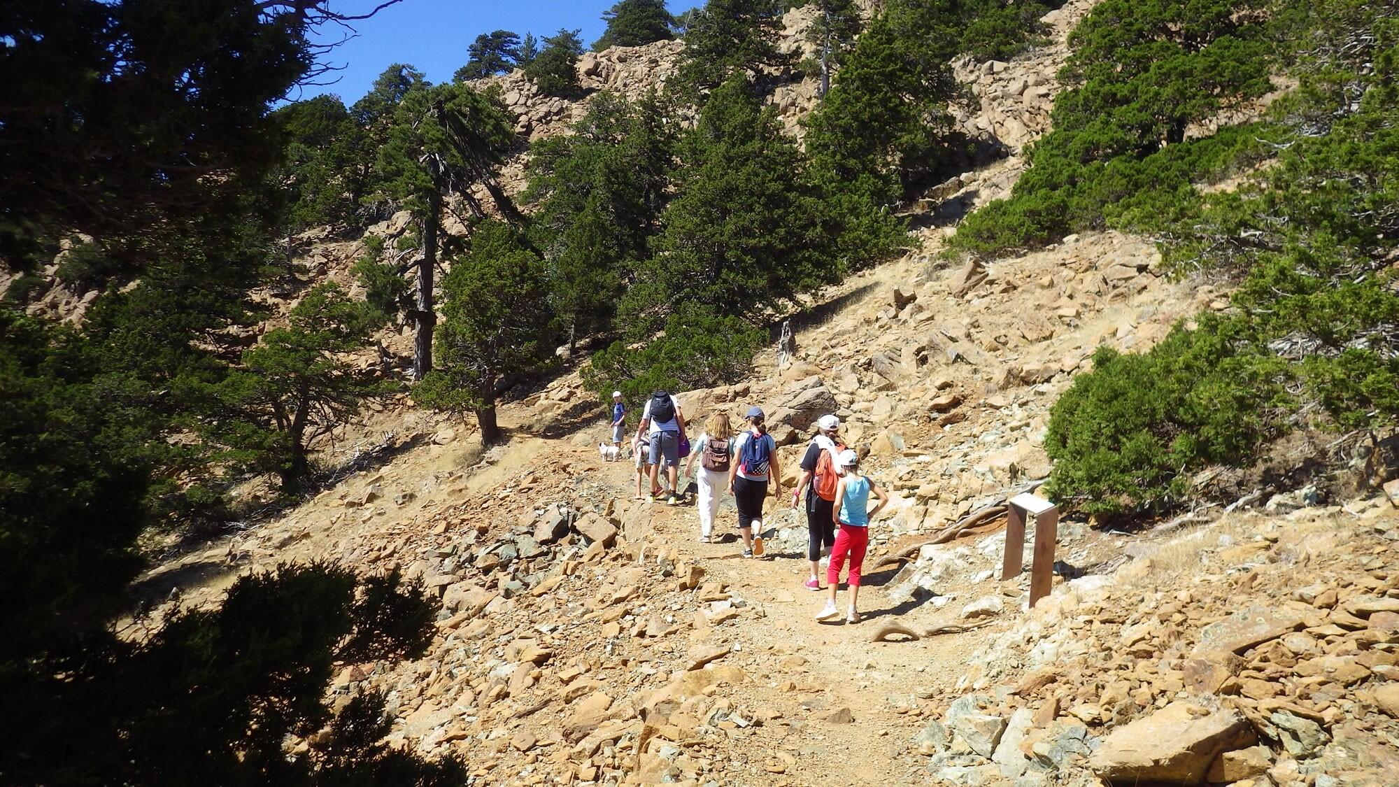 Mini-circuit autonome Troodos suprême 1/1