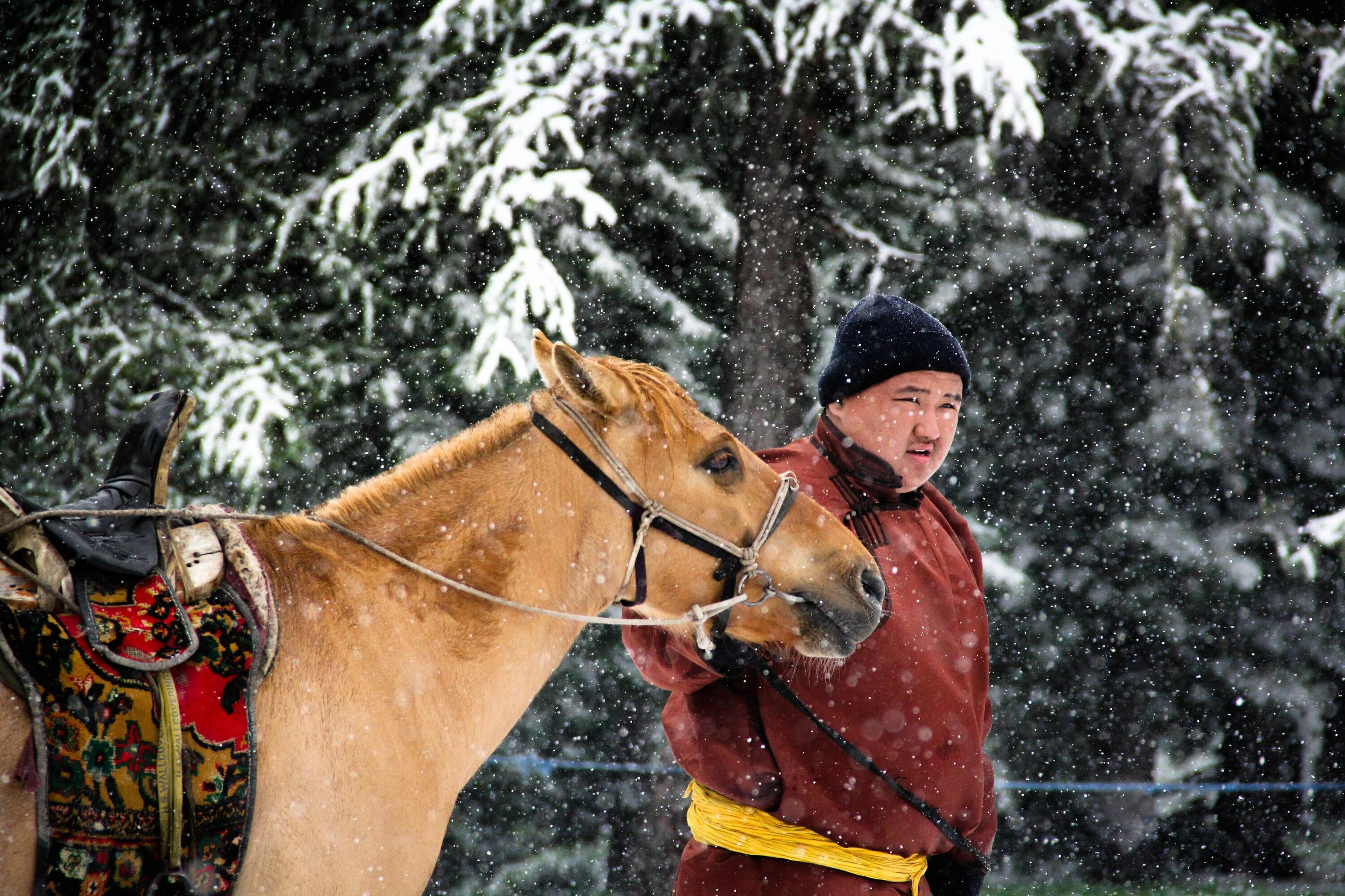 Randonnée à cheval en hiver en Mongolie 1/1