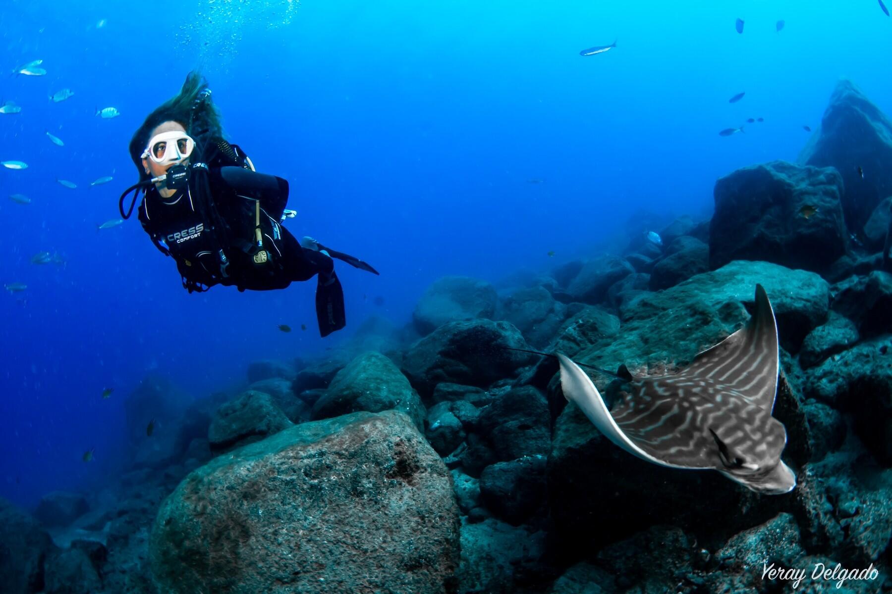Plongée Advanced Open Water PADI à Tenerife 1/1