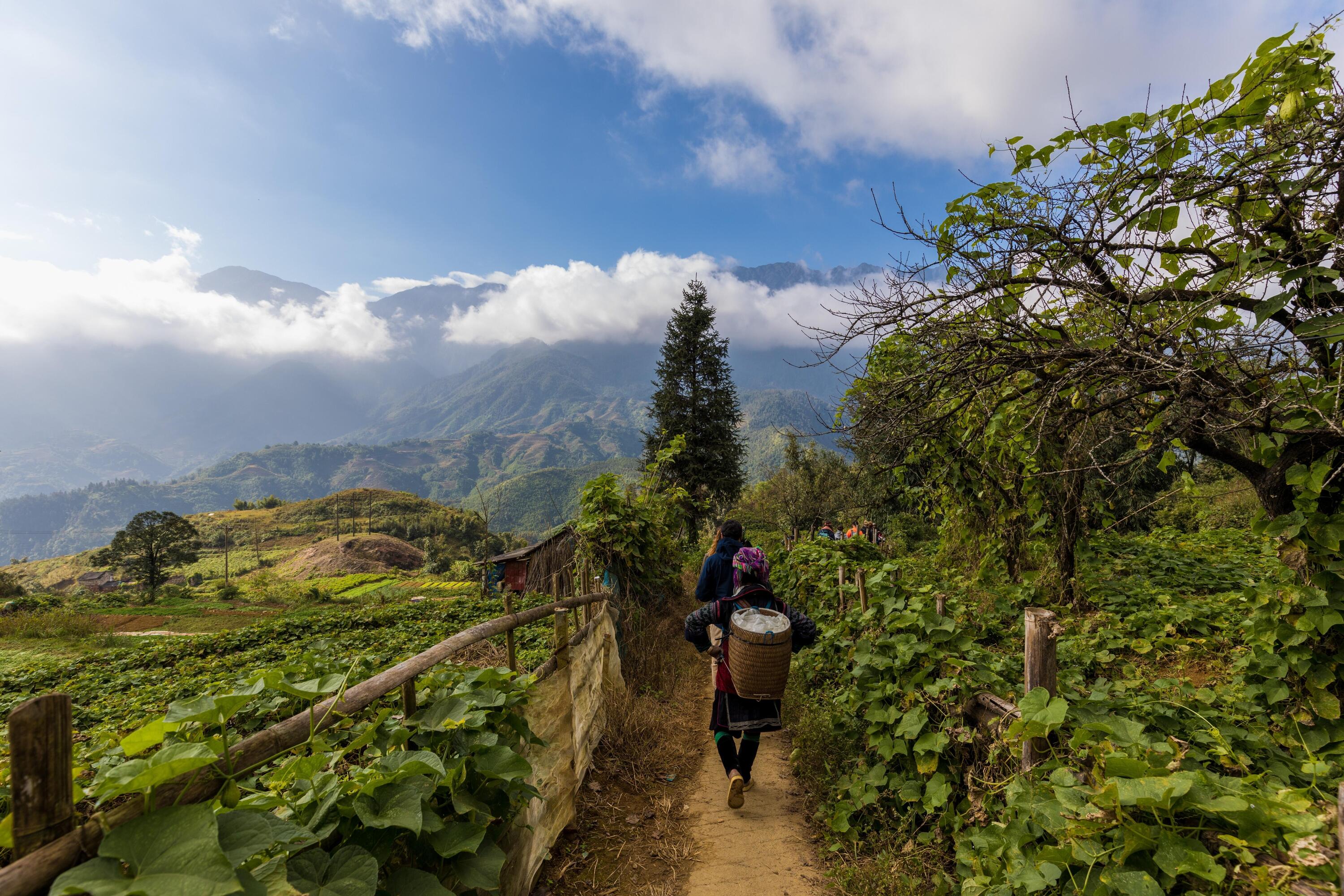 DECATHLON TRAVEL picture