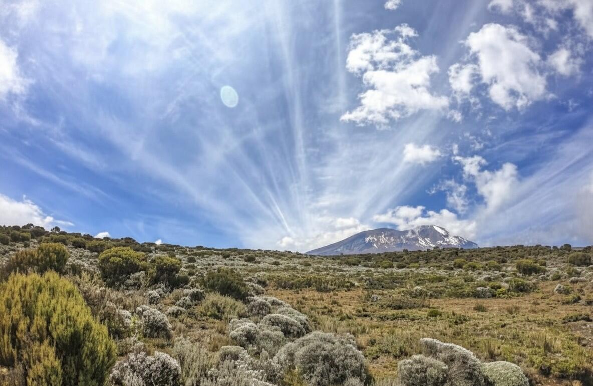 Randonnée de 6 jours au Mont Kilimandjaro – Voie Lemosho 1/1