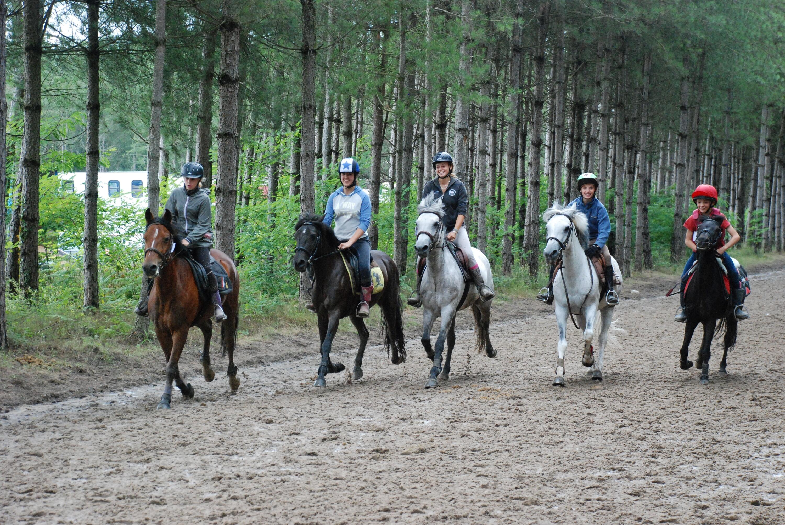 Stage d'équitation dans les vignes en Bourgogne du sud 1/1