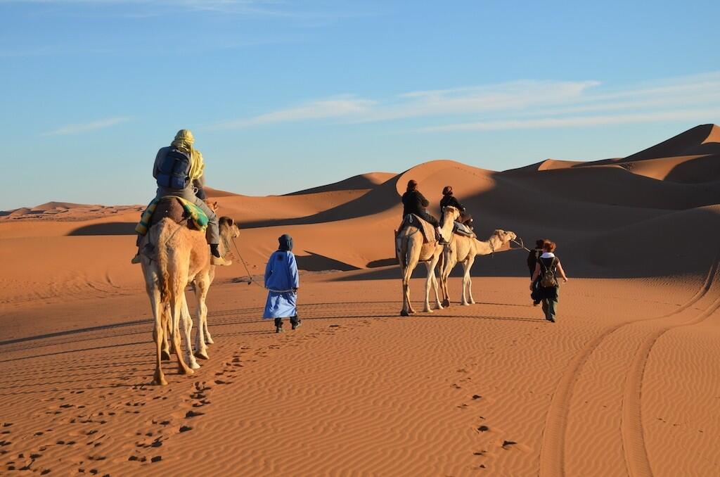 DECATHLON TRAVEL picture