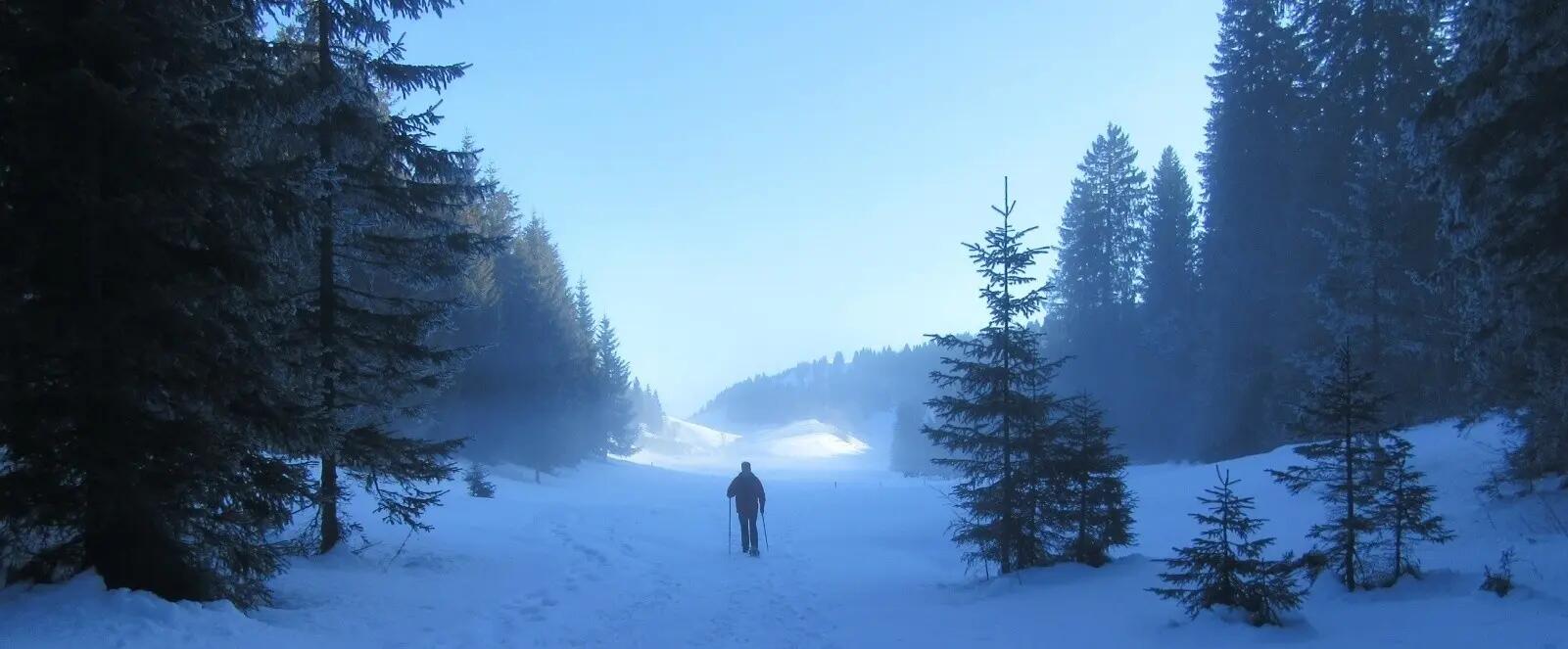 DECATHLON TRAVEL picture