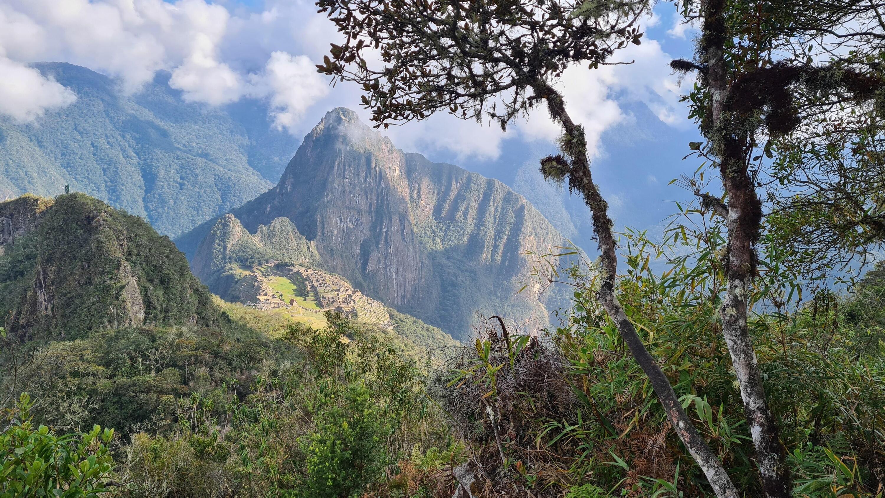 DECATHLON TRAVEL picture