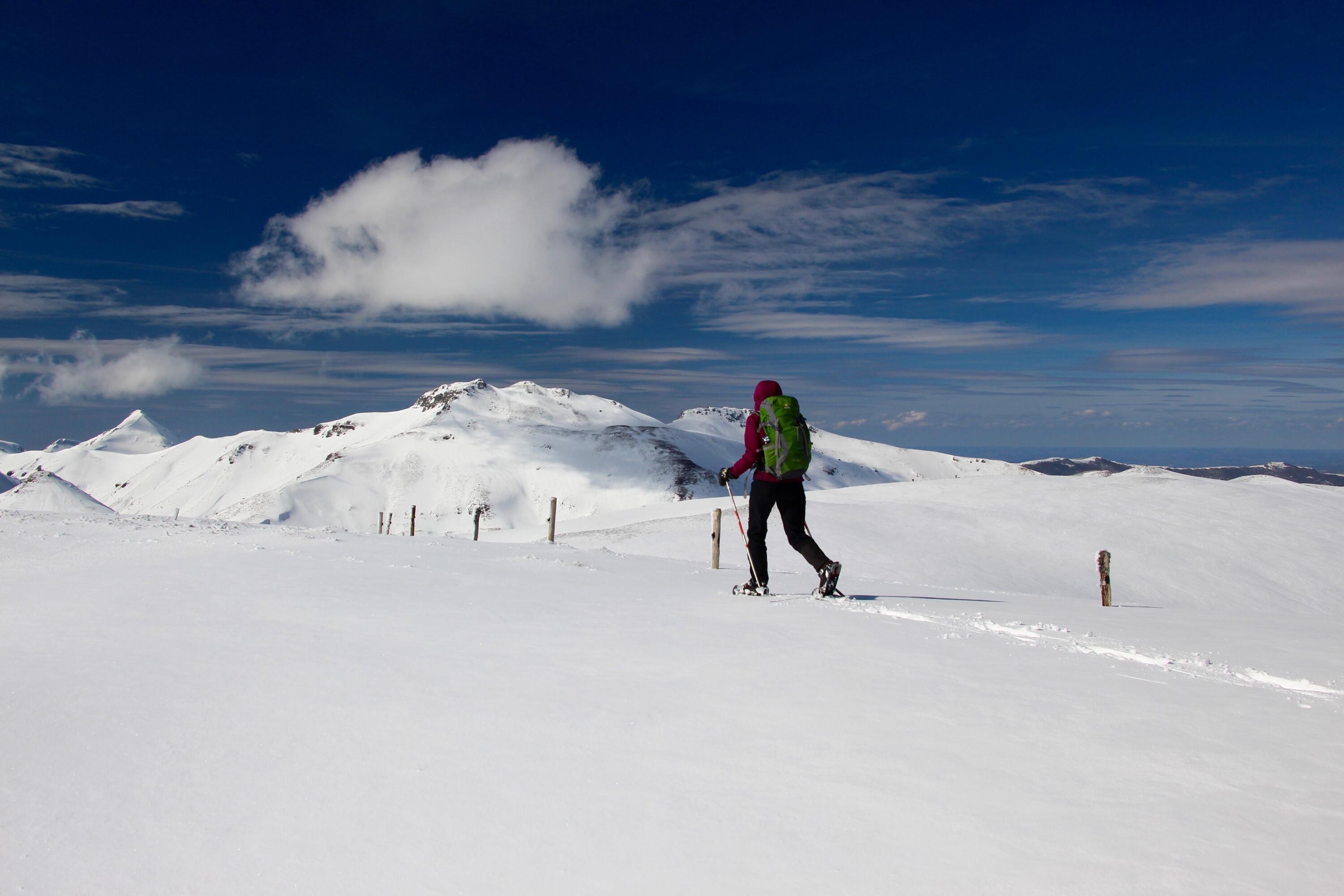 DECATHLON TRAVEL picture
