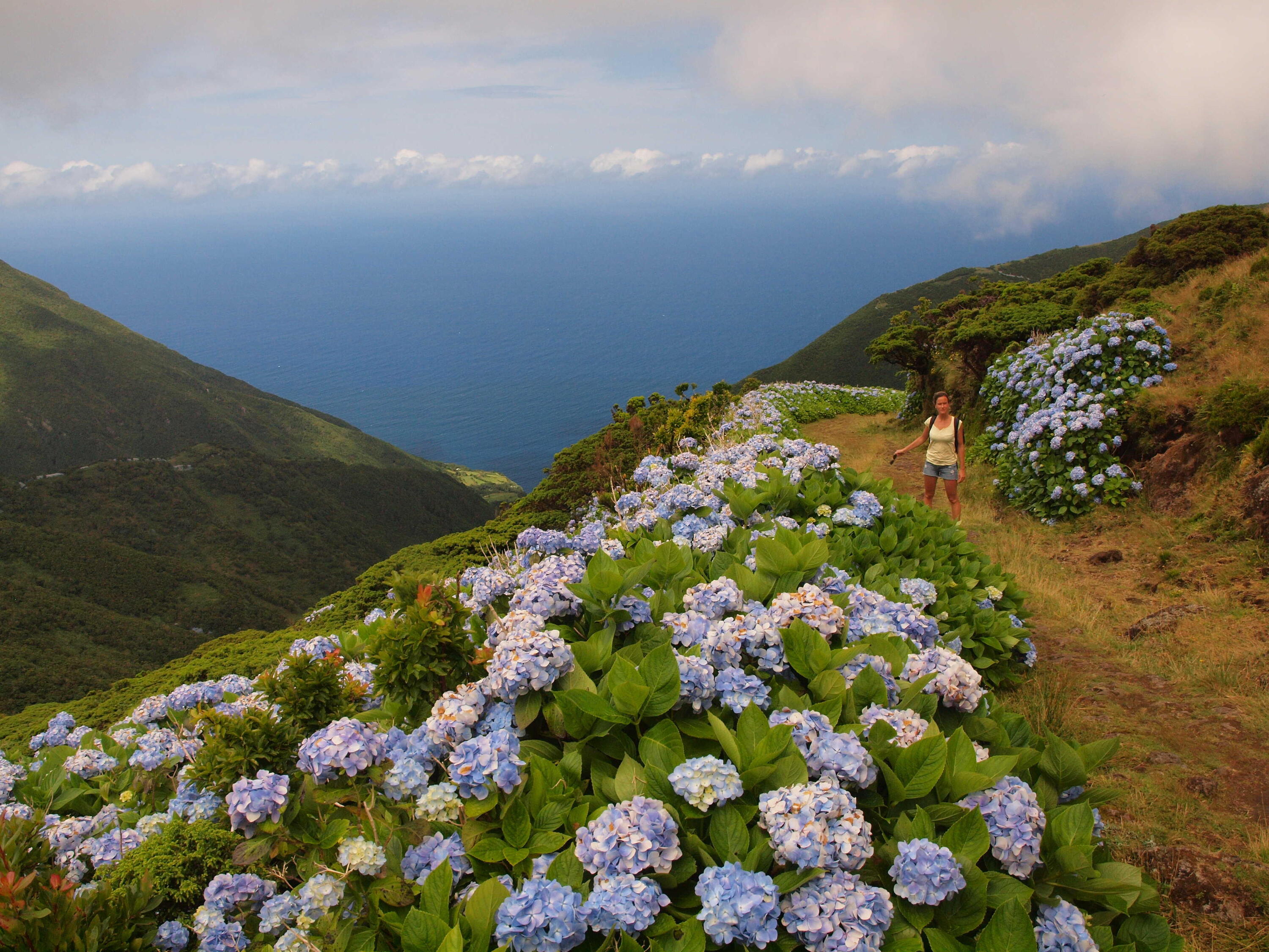 DECATHLON TRAVEL picture