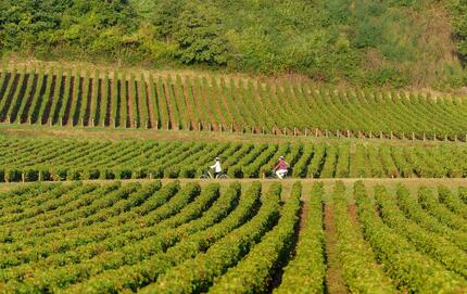 Vélo-Camping sur les Voies Vertes de Bourgogne