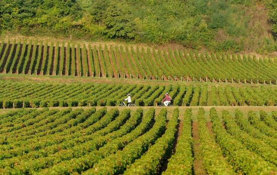 Vélo-Camping sur les Voies Vertes de Bourgogne