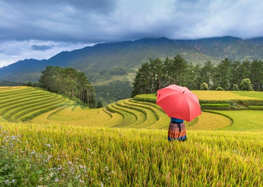 DECATHLON TRAVEL picture