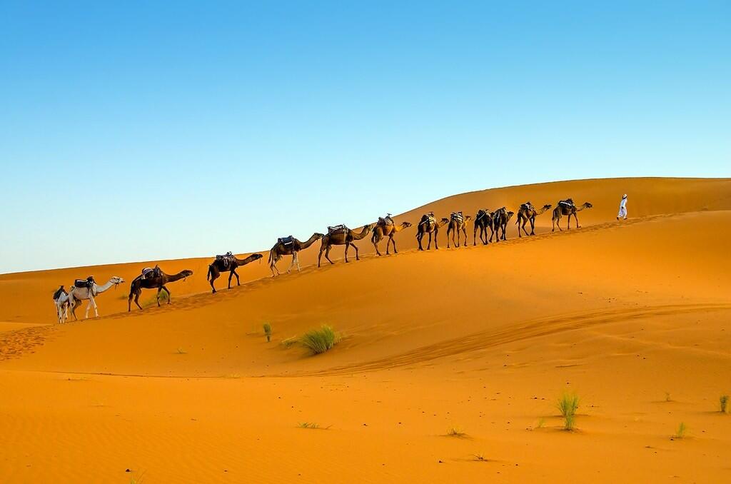 DECATHLON TRAVEL picture
