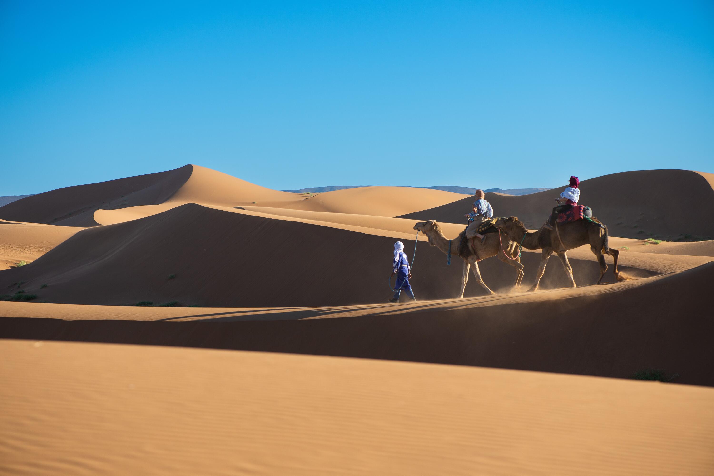 DECATHLON TRAVEL picture