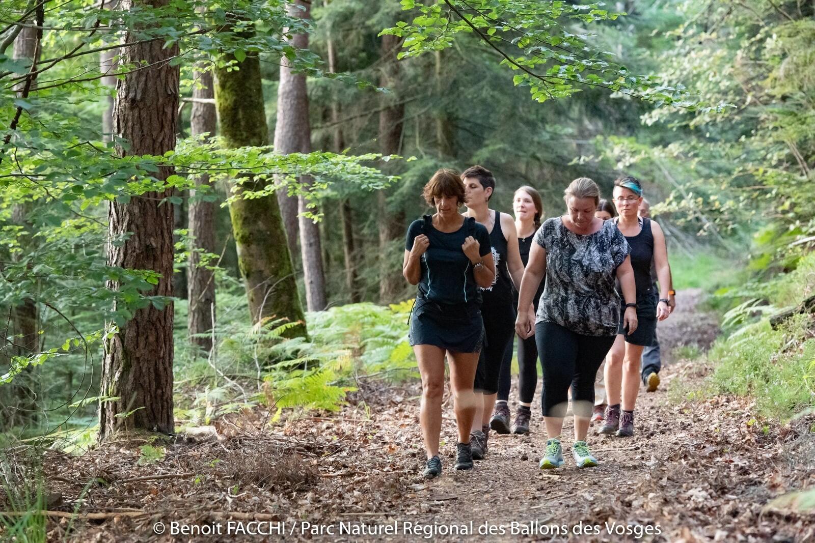DECATHLON TRAVEL picture