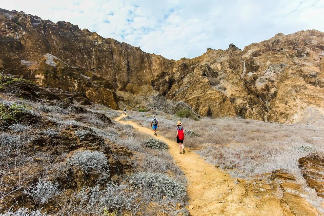 DECATHLON TRAVEL picture