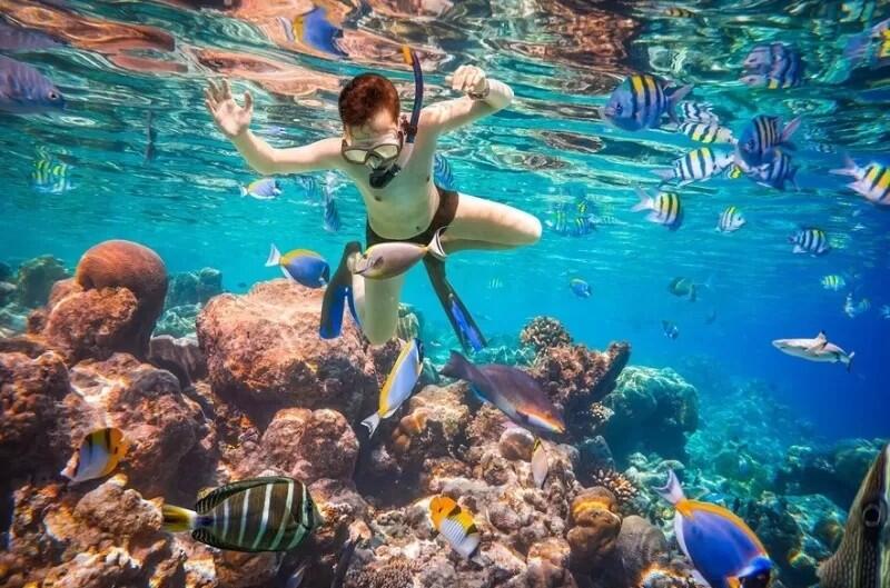 Séjour snorkeling en famille personnalisable à Sharm El-Cheikh 1/1
