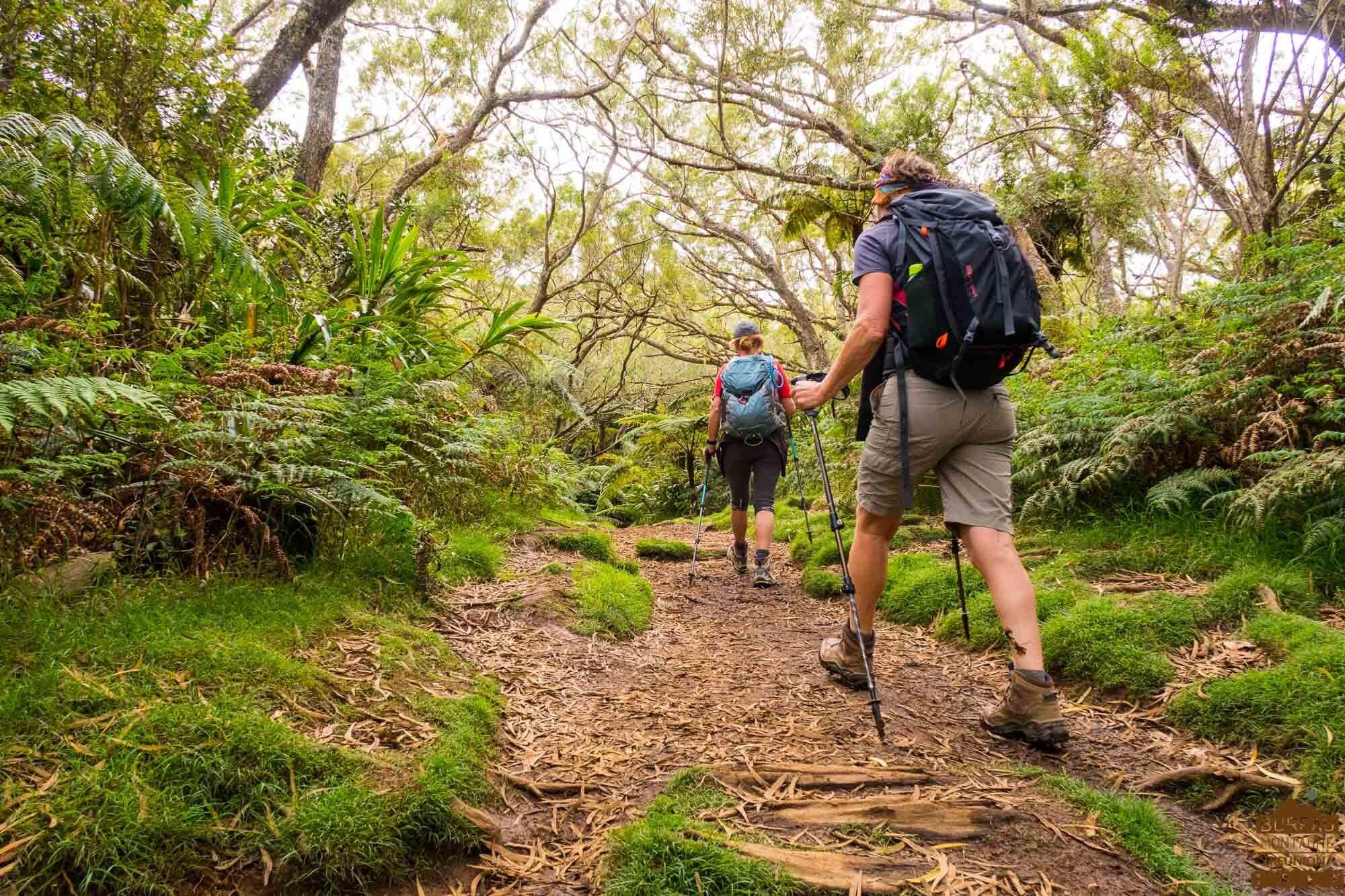 DECATHLON TRAVEL picture